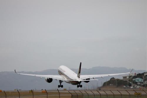 wing-view a350 04