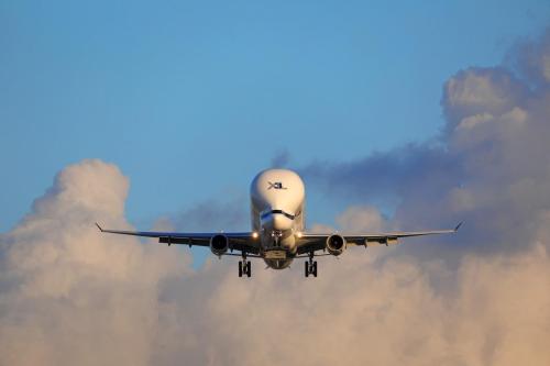 wing-view airbus-beluga 03