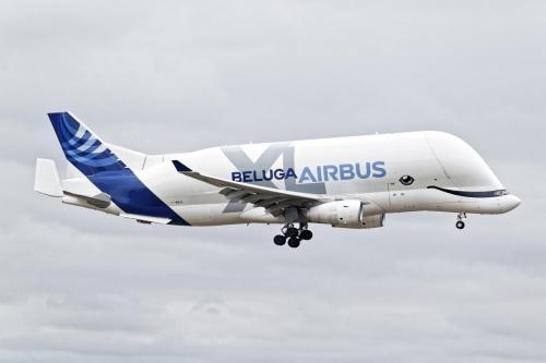 wing-view airbus-beluga 05