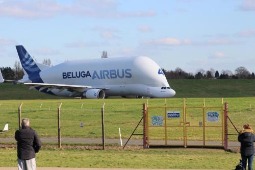 wing-view airbus-beluga 06