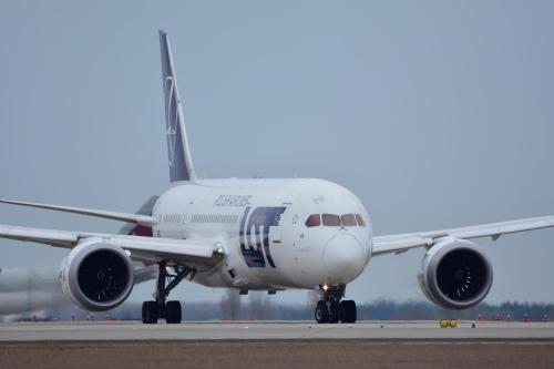 wing-view boeing-787 04